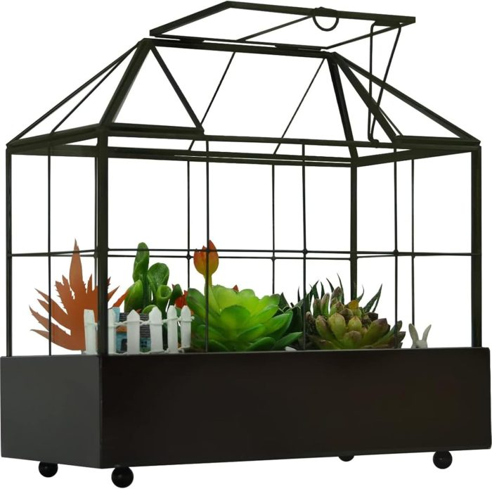 Large Tall Plant Terrarium Glass Greenhouse with Lid and Tray - Image 2
