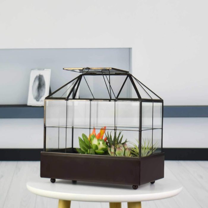Large Tall Plant Terrarium Glass Greenhouse with Lid and Tray