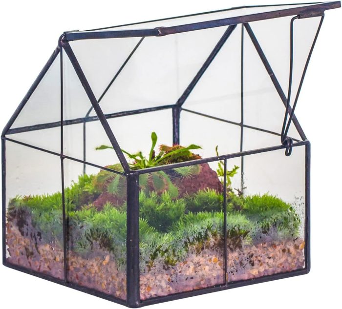 NCYP Mini Glass Geometric Plant Terrarium with Lid - 10.8 x 10.8 x 12.5 cm - Image 2