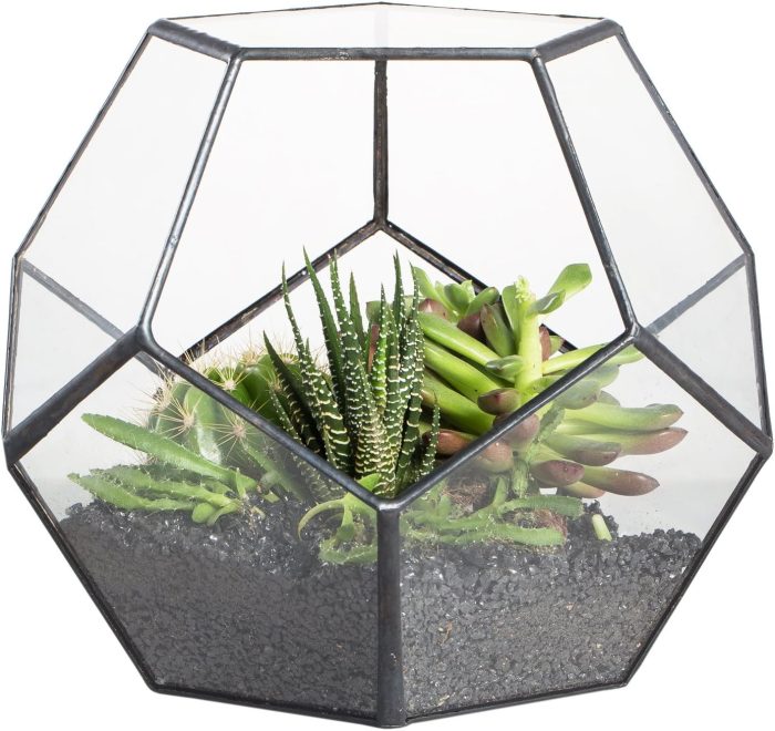 NCYP Geometric Glass Terrarium - 17.5 x 17.5 x 15 cm - Image 4