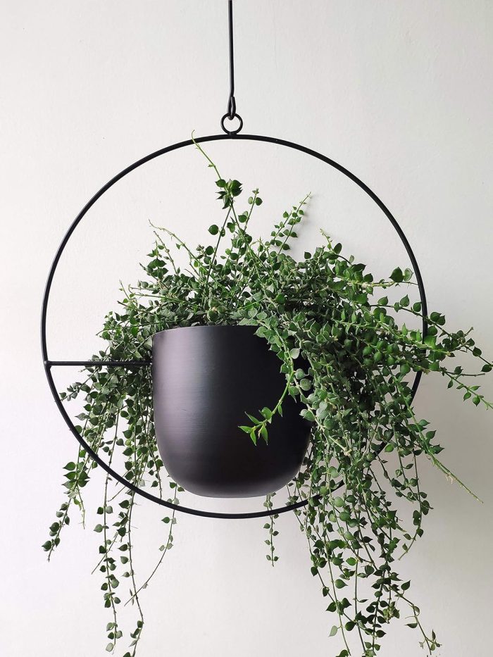 Boho Black Metal Plant Hanger - Image 2