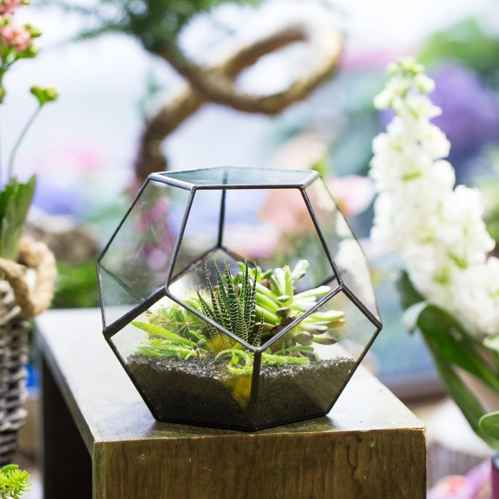 NCYP Geometric Glass Terrarium - 17.5 x 17.5 x 15 cm