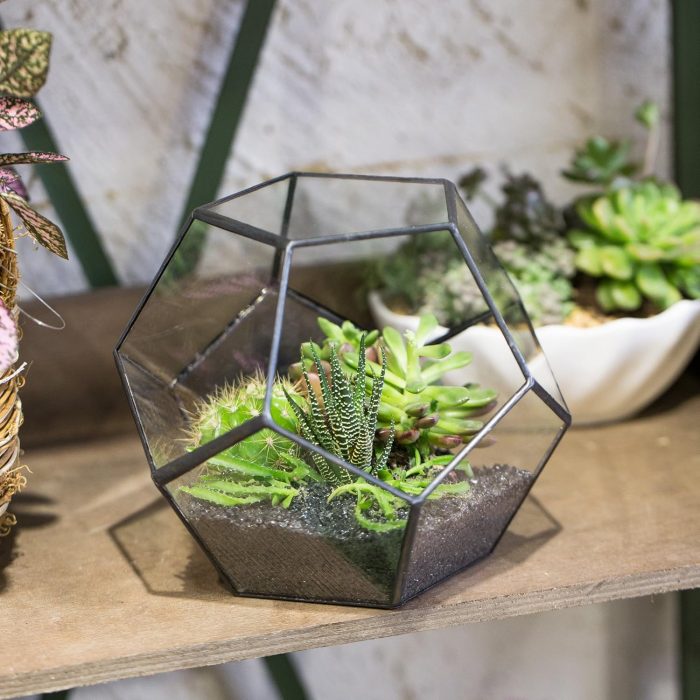 NCYP Geometric Glass Terrarium - 17.5 x 17.5 x 15 cm - Image 3